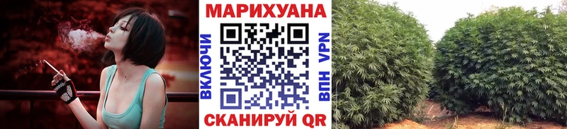 где купить наркоту  Кочубеевское  hydra онион  МАРИХУАНА планчик 